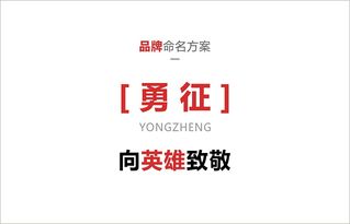 勇征白酒 文化傳承與品牌創(chuàng)新的融合之道
